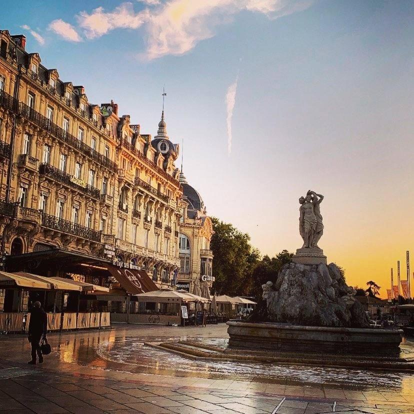 Appartement Le Havre De Paix Montpellierain - Terrasse Et Parking Prive Montpellier